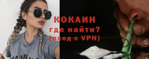 мет Елизово
