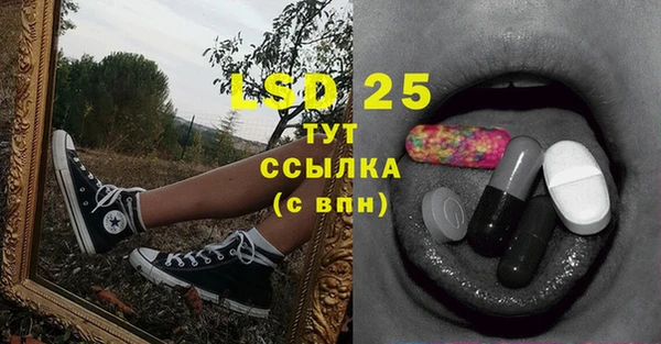 ALPHA PVP Ельня