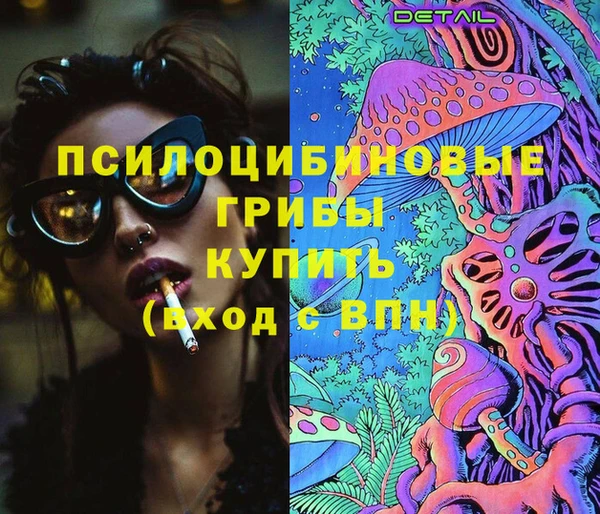 мет Елизово