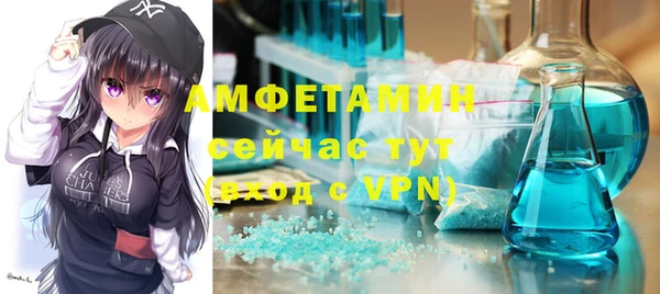 ALPHA PVP Ельня