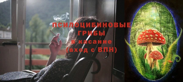 гидропоника Елабуга