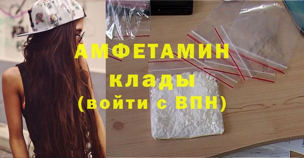 ALPHA PVP Ельня
