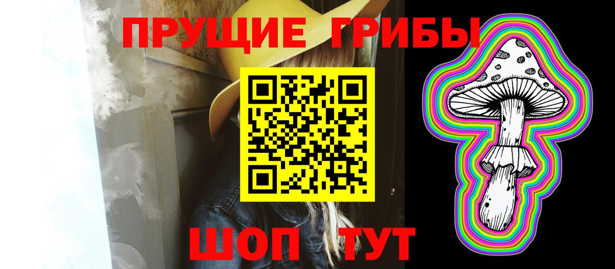 Солнечногорск  Псилоцибиновые грибы MAGIC MUSHROOMS  Вход с VPN 