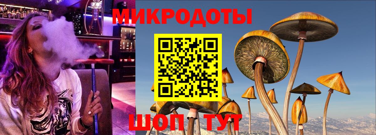 Галлюциногенные грибы Cubensis Солнечногорск